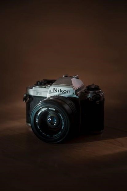 nikon d200 manual