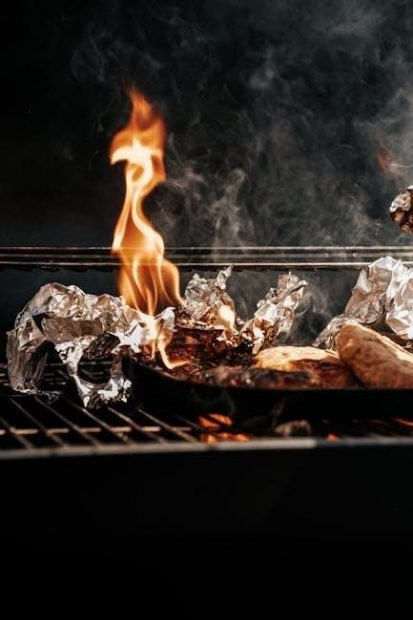 manual for brinkmann smoke n grill