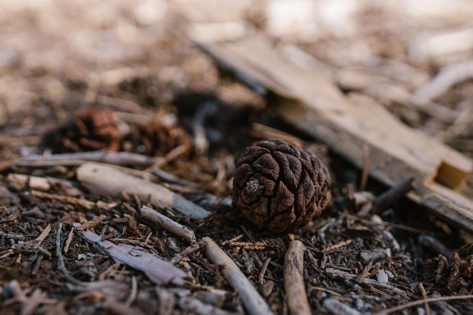 Michael Dirr's Manual of Woody Landscape Plants | Expert Guide